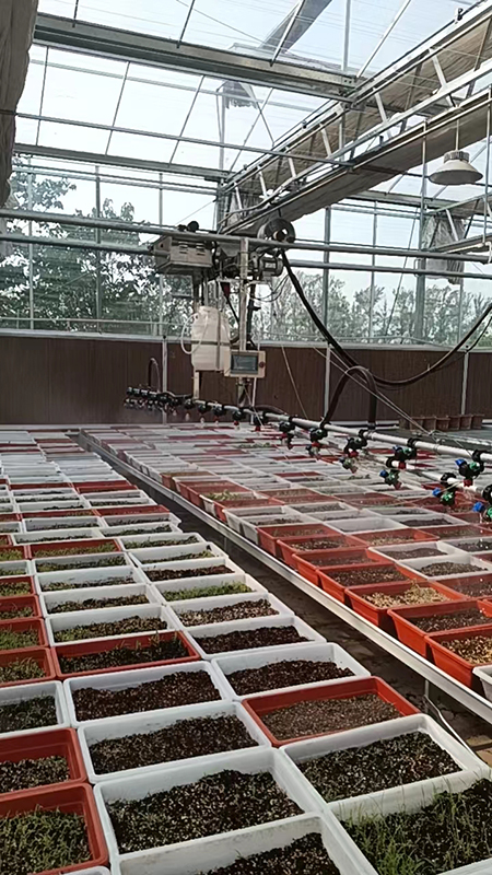 番茄育苗時(shí)使用溫室噴灌機(jī)應(yīng)該如何操作？